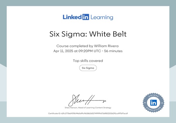 Six Sigma: White Belt